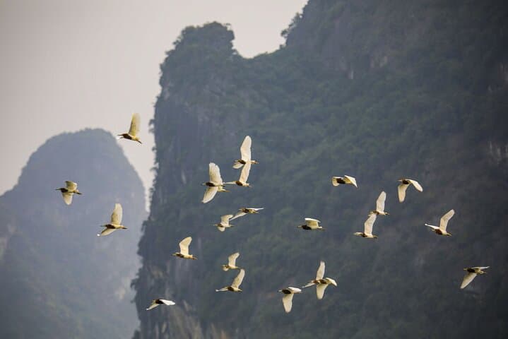 Half-Day Cat Ba Jungle Trail and Hidden Cave Guided Tour photo 3