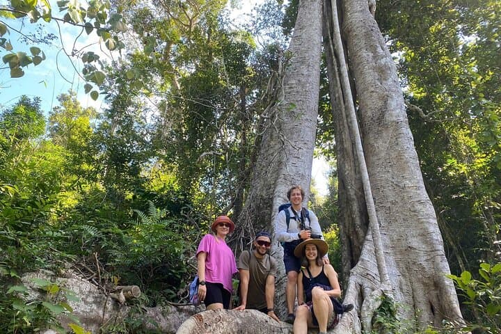 Half-Day Cat Ba Jungle Trail and Hidden Cave Guided Tour