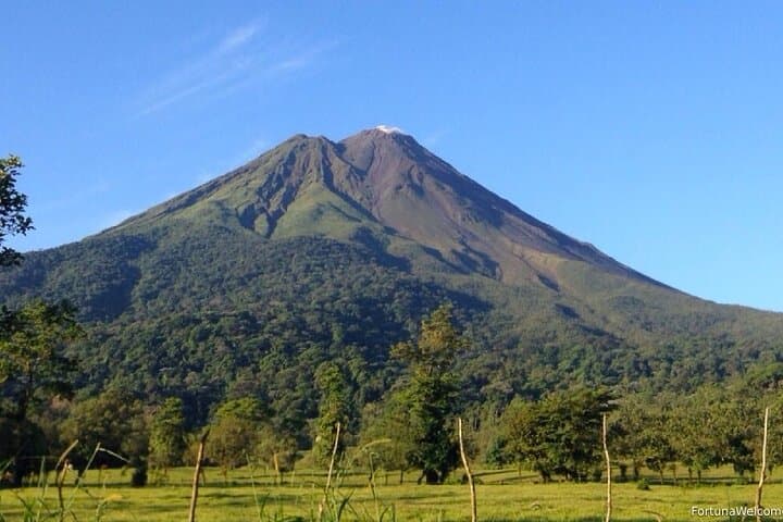 Lake Arenal Fishing: Guapote & Machaca Private Tour from La Fortuna