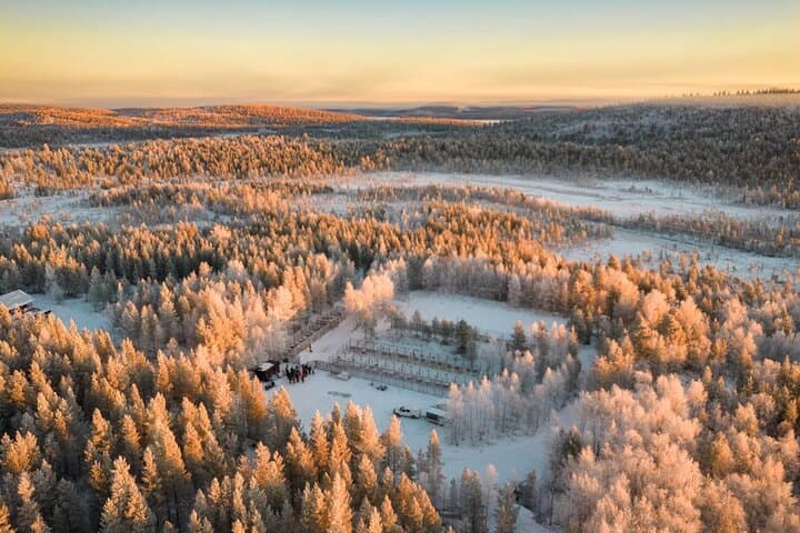Husky Adventure 10km — Saariselkä Husky Safari & Mushing Experience photo 2