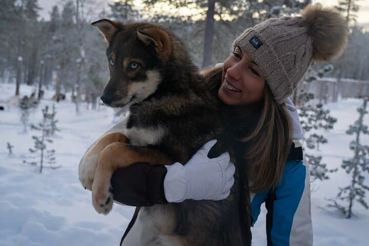 Husky Adventure 10km — Saariselkä Husky Safari & Mushing Experience photo 3