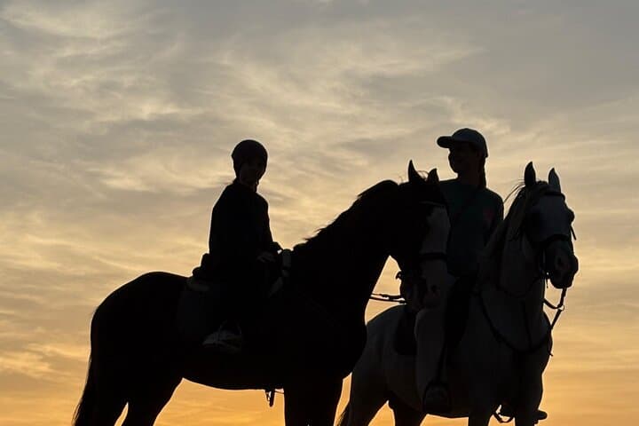 Horseback Riding on Essaouira's Atlantic Beaches — Scenic One-Hour Rides & Practical Tips
