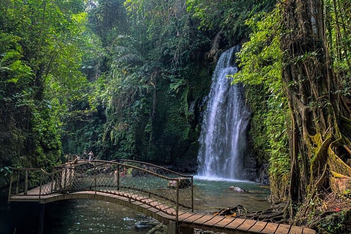 Ubud Private Tour: Monkey Forest, Waterfall, Rice Terraces & Water Temple