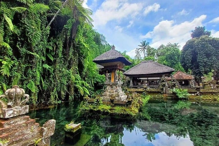 Ubud Private Tour: Monkey Forest, Waterfall, Rice Terraces & Water Temple photo 5