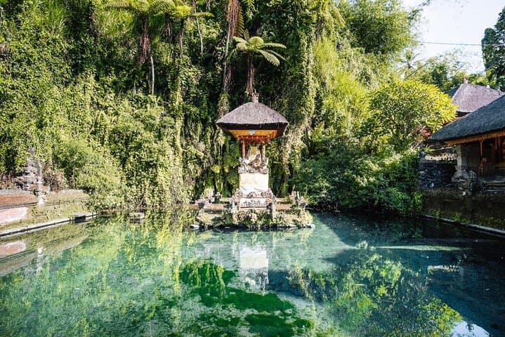 Ubud Private Tour: Monkey Forest, Waterfall, Rice Terraces & Water Temple photo 2