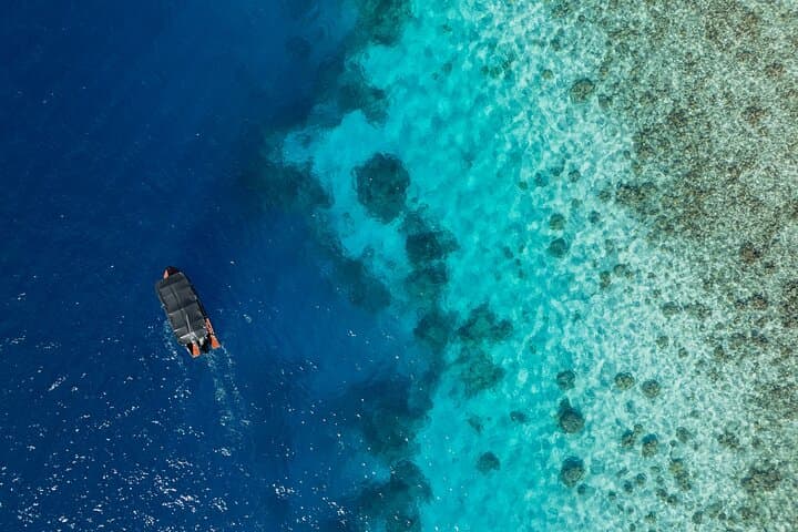 Bora Bora Full-Day Water Combo: Snorkel, Jet Ski & Motu Lunch photo 5