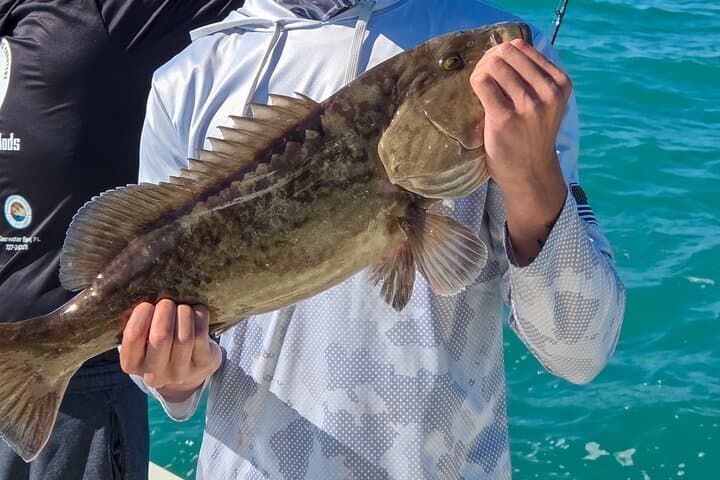 Clearwater Beach Deep-Sea Fishing: 4-Hour Private Charter with Gear Included photo 3