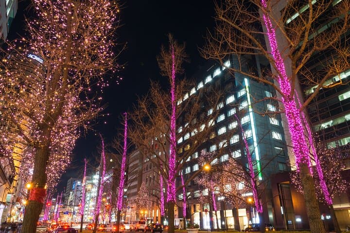 Sapporo Christmas Market & White Illumination Private Walking Tour photo 5