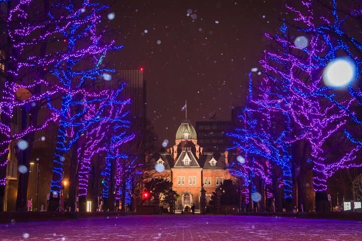 Sapporo Christmas Market & White Illumination Private Walking Tour photo 2