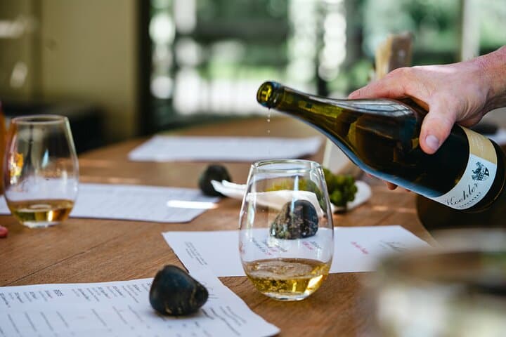 Vineyard Couples Massage and Estate Tasting in Santa Ynez Valley photo 2