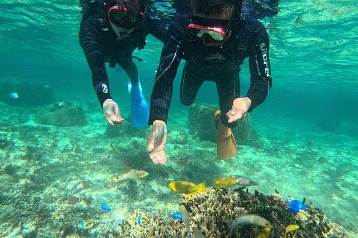 Blue Cave Snorkeling in Okinawa: Family-Friendly Maeda Point Adventure photo 2