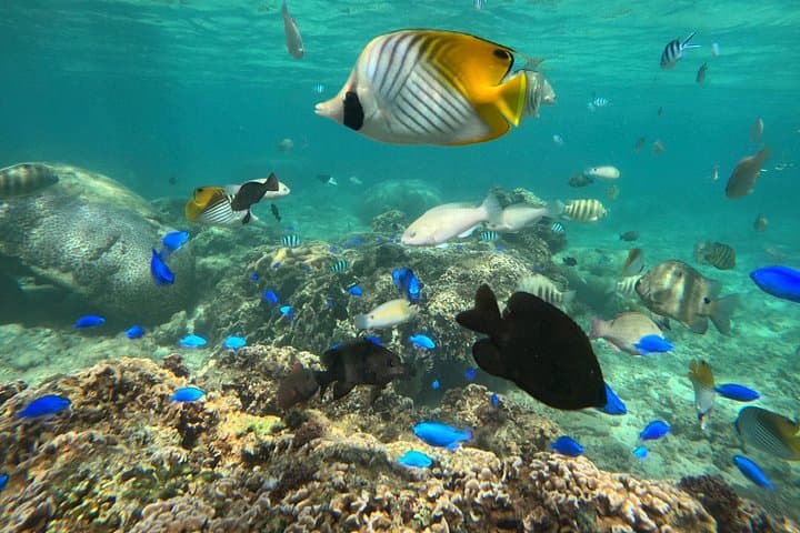 Blue Cave Snorkeling in Okinawa: Family-Friendly Maeda Point Adventure photo 4