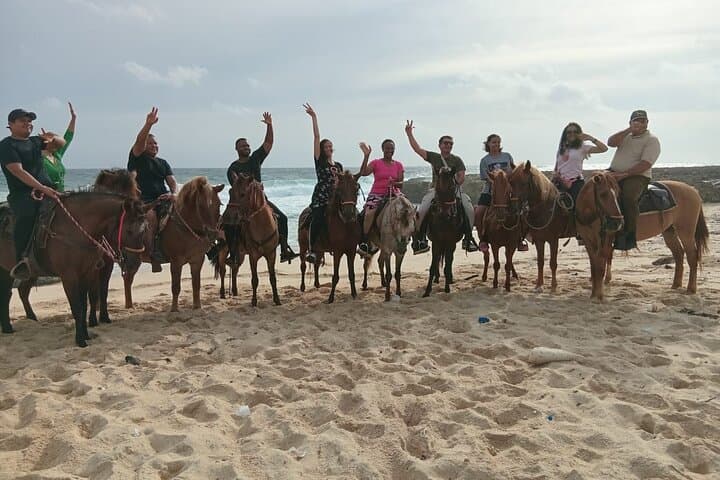 Aruba Ecological Trail & Beach Horseback Ride — Shore Excursion from the Cruise Port