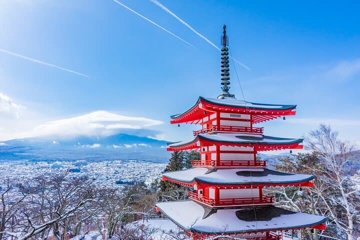 Mt Fuji One-Day Scenic Tour: Chureito Pagoda, Oshino Hakkai & Lake Yamanaka photo 4