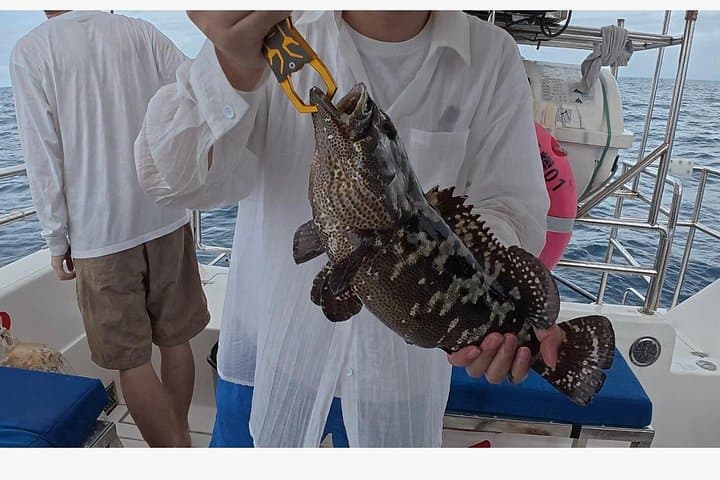 Fishing Adventure Fiji — 4-Hour Family Charter from Vuda Marina photo 4