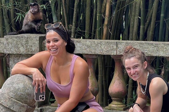 Pedra Bonita Wildlife Spotting & Easy Hike in Tijuca Forest