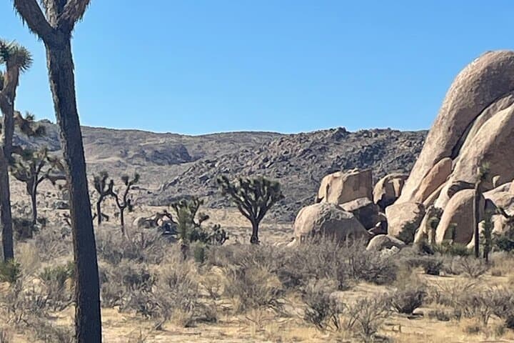 Self-Guided GPS Driving Tour: Joshua Tree NP West Entrance photo 5
