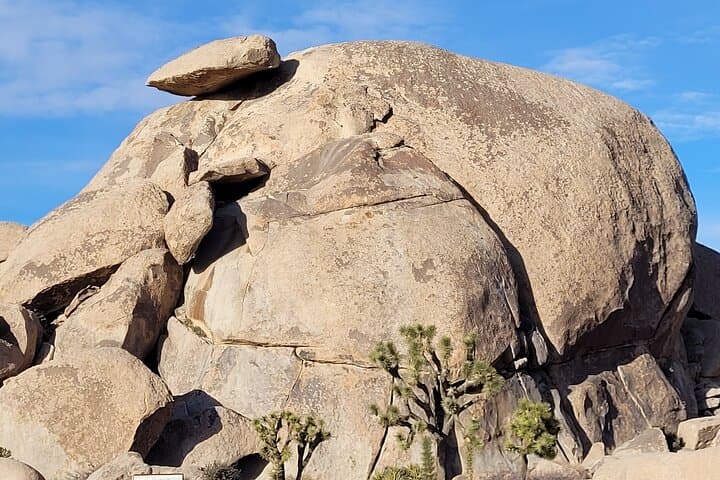 Self-Guided GPS Driving Tour: Joshua Tree NP West Entrance photo 6
