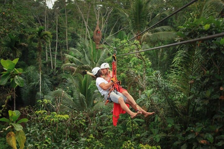 Ubud Zipline & Monkey Forest Half-Day: Tegalalang Rice Terrace Adventure photo 2