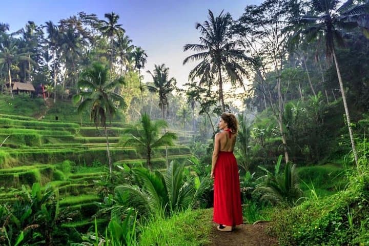 Ubud Nature Wonders: Private Day Tour to Monkey Forest, Rice Terraces & Tibumana Waterfall photo 1