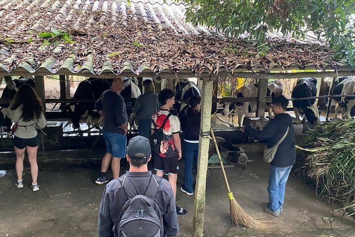 Duong Lam & Ba Vi Countryside Escape — 2-Day Heritage and Nature Retreat from Hanoi photo 2