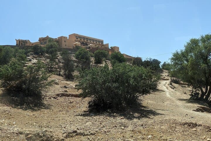Taroudant and Tiout Oasis Private Day Tour from Marrakech photo 4