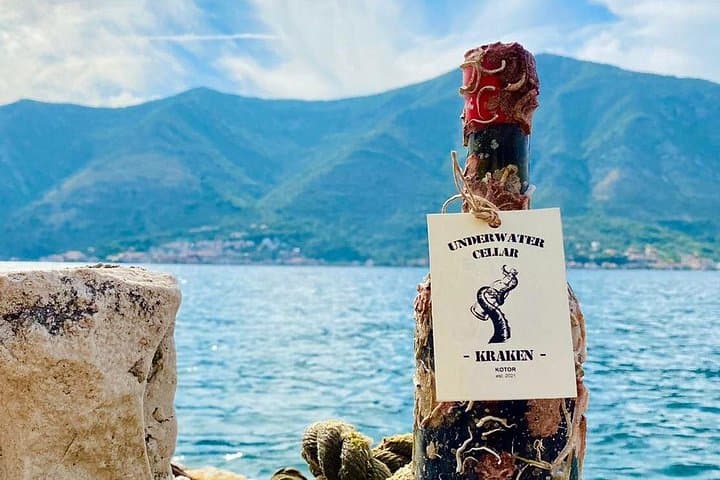 Private Kotor Speedboat Tour: 8-Hour Boka Bay, Blue Cave & Wine-by-Sea photo 3