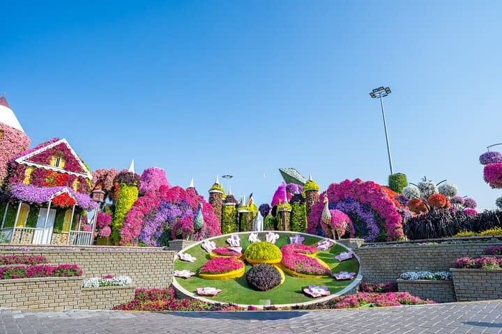 Private Photo Session at Dubai Miracle Garden — Floral Portrait Portraits in One Hour photo 1