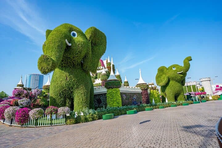 Private Photo Session at Dubai Miracle Garden — Floral Portrait Portraits in One Hour photo 2