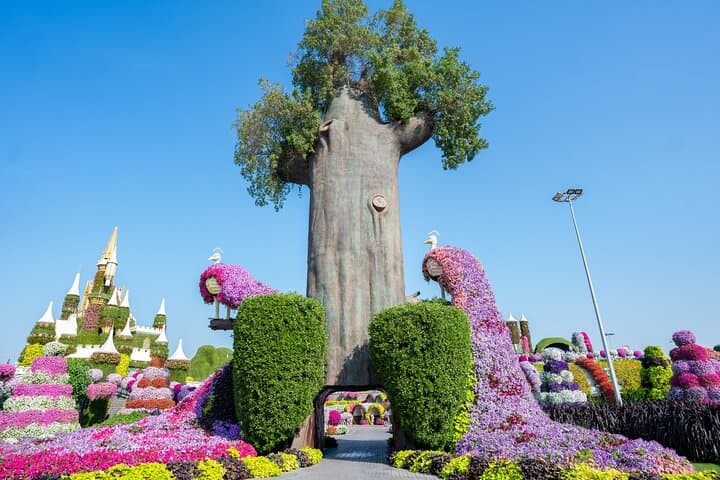 Private Photo Session at Dubai Miracle Garden — Floral Portrait Portraits in One Hour photo 4