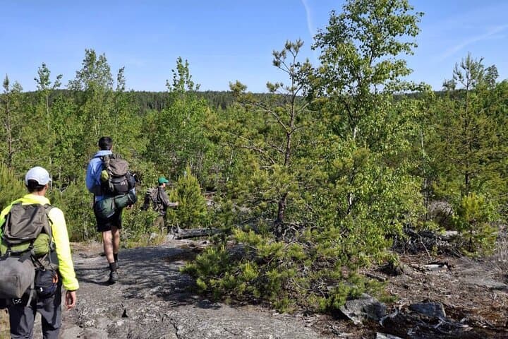 Backpacking Tyresta: 2-Day Overnight Hike from Stockholm photo 5