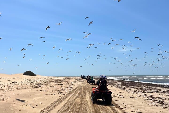 Essaouira Quad Biking: Dunes, Beaches & Argan Forest Adventure photo 3