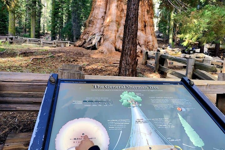 Private Sequoia National Park Day Tour from Los Angeles - General Sherman & Moro Rock photo 4