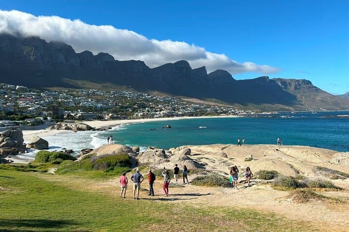 Cape Peninsula Full-Day Shore Excursion from Cape Town — Cape Point & Boulders Beach photo 6