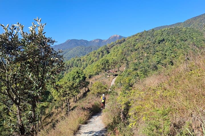 Champadevi Scenic Day Hike — Kathmandu Valley Summit & Temple Trek photo 6