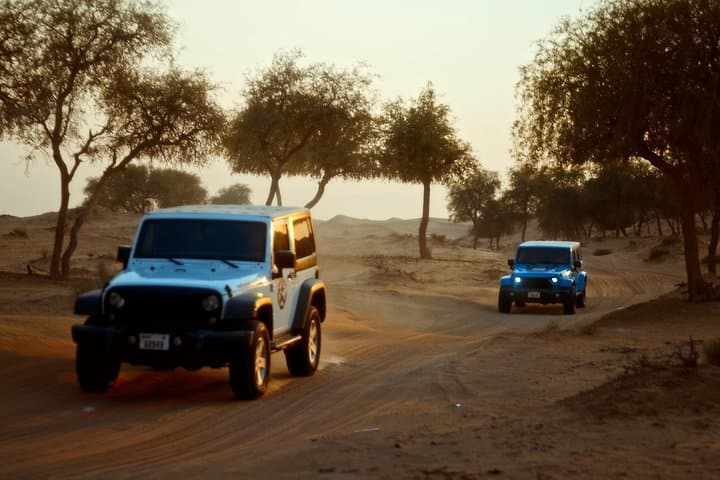 Dubai Desert Safari: Jeep Self-Drive, ATV Adventure & BBQ Under the Stars photo 1
