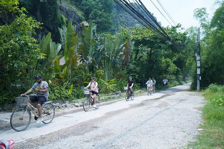 4-Day Ninh Binh, Ha Long Bay & Sapa Adventure — Northern Vietnam Highlights photo 2