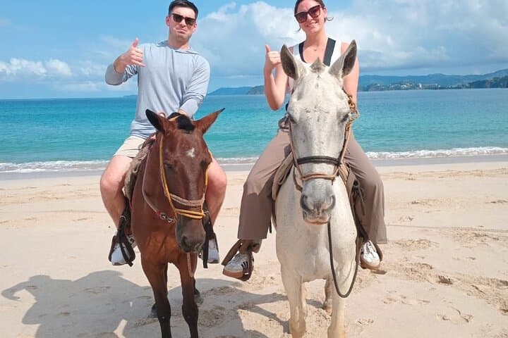 Playa Flamingo Horseback Riding: 90-Minute Beach & Trail Guided Tour photo 2