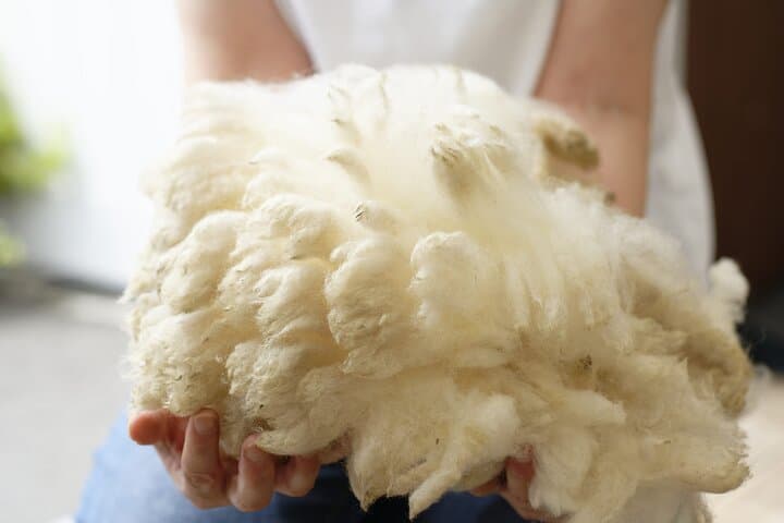 Snowfield Play and Wool Craft Workshop near Eniwa: Family-Friendly Hokkaido Snow Experience photo 3