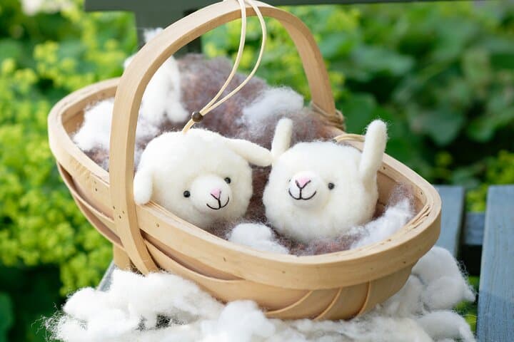 Snowfield Play and Wool Craft Workshop near Eniwa: Family-Friendly Hokkaido Snow Experience photo 2