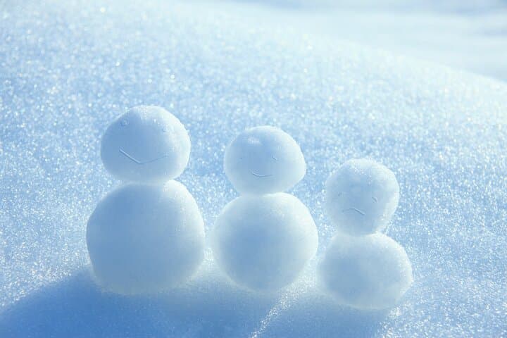 Snowfield Play and Wool Craft Workshop near Eniwa: Family-Friendly Hokkaido Snow Experience photo 6