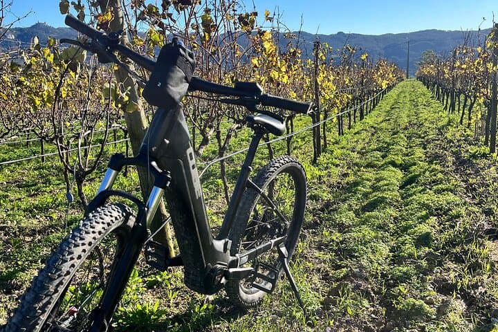 Sintra E-Bike Tour & Colares Wine Tasting — 25-Mile Scenic Ride photo 3
