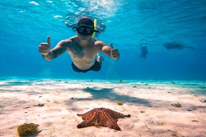 Day Trip to Cozumel from Mérida: Snorkel Palancar & El Cielito with Lunch