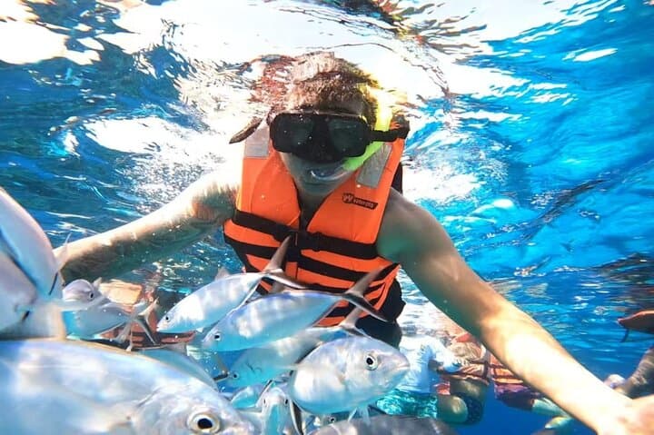 Day Trip to Cozumel from Mérida: Snorkel Palancar & El Cielito with Lunch photo 2