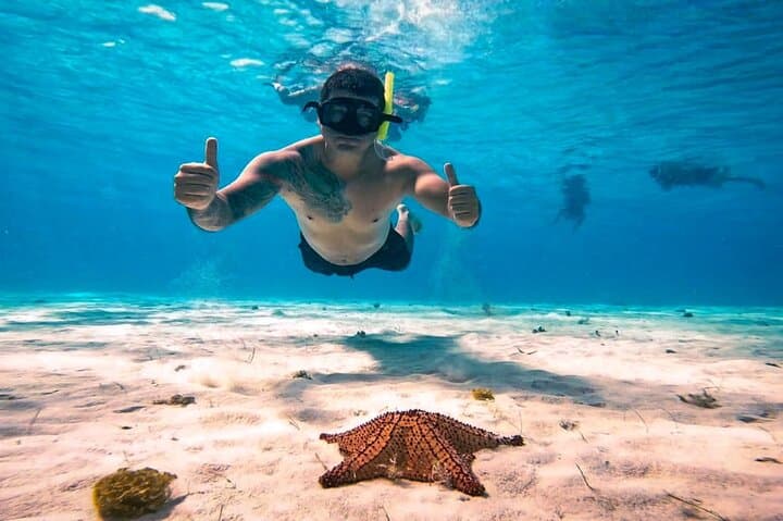 Day Trip to Cozumel from Mérida: Snorkel Palancar & El Cielito with Lunch photo 3