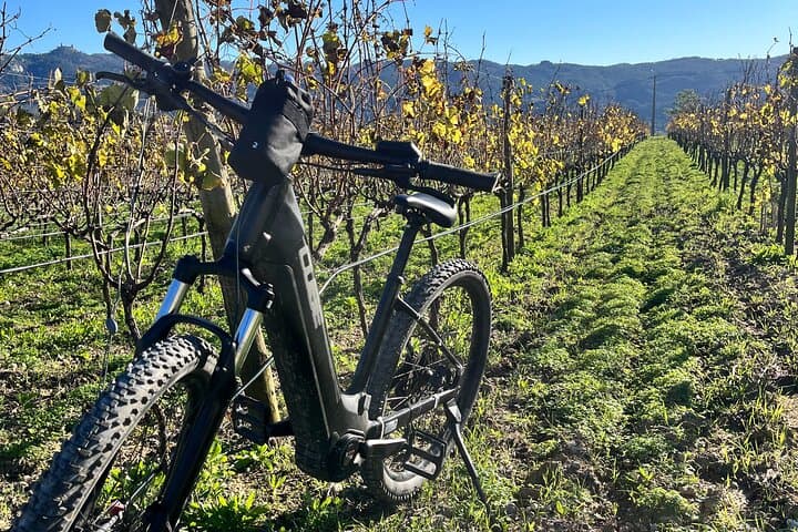ebike-tour-colares-sintra-wine-tasting photo 2