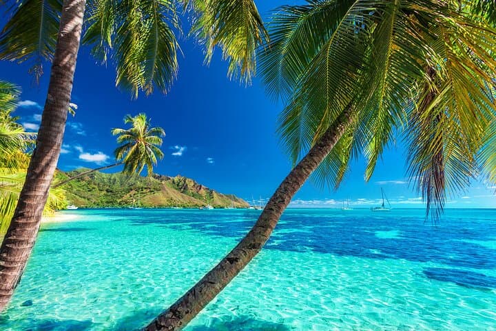 Exclusive Moorea Lagoon Cruise: Private 5-Hour Snorkel, Dolphin & Lagoon Tour photo 2