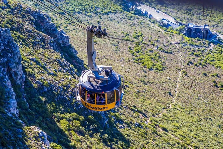 Table Mountain Cable Car & Company Gardens Half-Day Tour — Cape Town