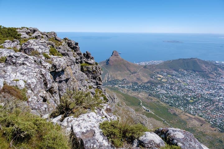 Table Mountain Cable Car & Kirstenbosch Gardens Day Tour — Cape Town Highlights photo 3