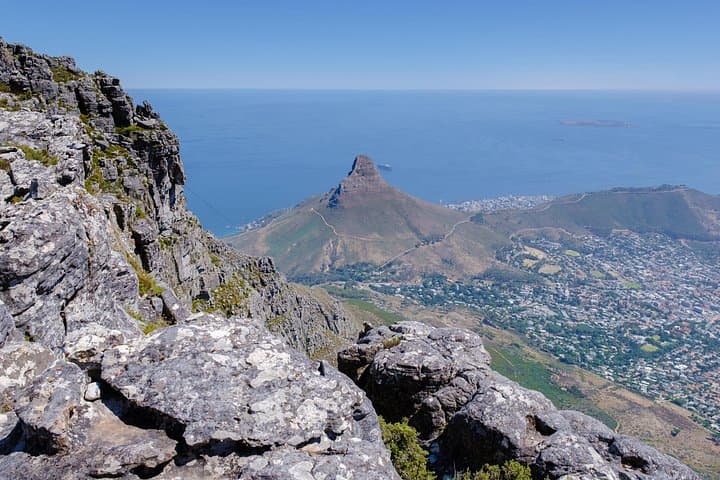 Table Mountain Cable Car & Company Gardens Half-Day Tour — Cape Town photo 6